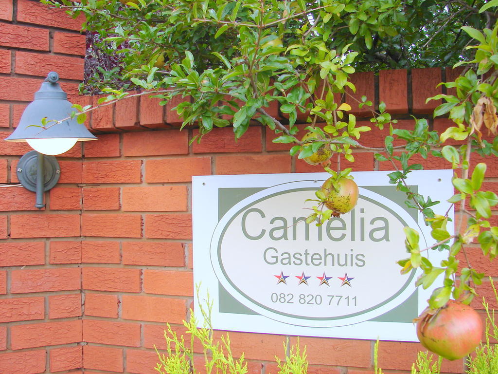 Camelia Guest House บลูมฟอนเทน ภายนอก รูปภาพ